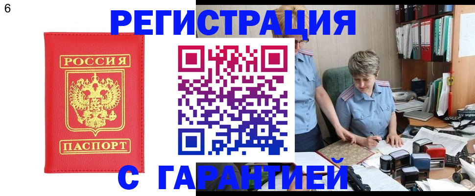 временная регистрация поиск в Зеленогорске